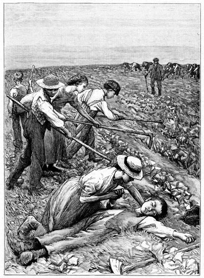 çocuk işçi çete sistemi, c1885 by Unbekannt