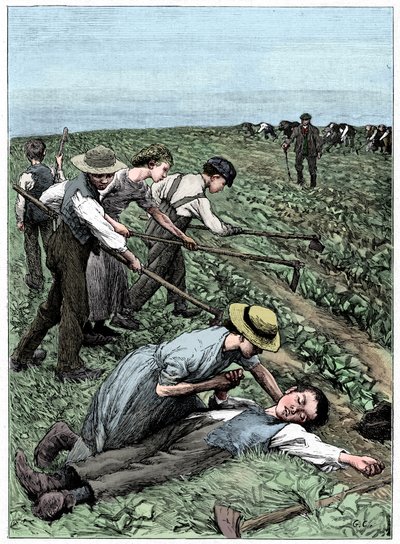 çocuk işçi çete sistemi, c1885 by Unbekannt