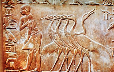 Kazlar, Ptahhotep Mezarı