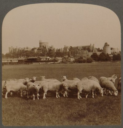 Genel Görünüm Windsor Kalesi, İngiltere, 1896. by Unbekannt