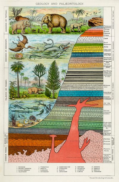 Jeoloji ve Paleontoloji, c1880 by Unbekannt