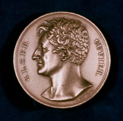 Georges Leopold Chretien Frederic Dagobert, Baron Cuvier, Fransız anatomist, 19. yüzyıl by Unbekannt