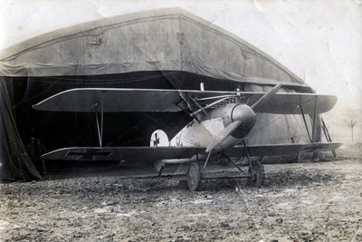 Alman Albatros DV, Souilly, Fransa, 2 Ocak 1918 by Unbekannt