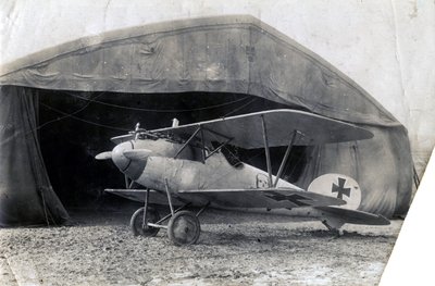 Alman Albatros DV, Souilly, Fransa, 2 Ocak 1918 by Unbekannt