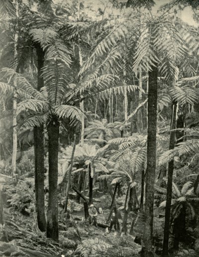 Gembrook