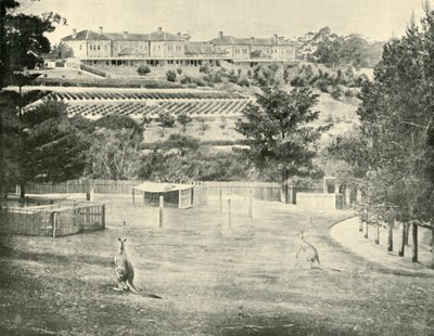 Deliler için Gladesville İltica, Yeni Güney Galler, 1901. by Unbekannt