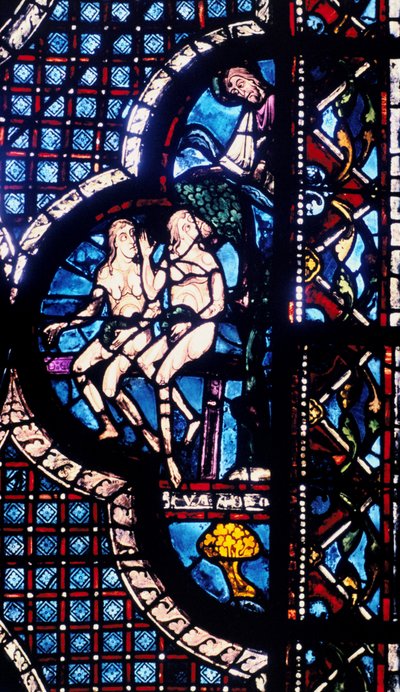 Tanrı Adem ve Havva ile yüzleşir, vitray, Chartres Katedrali, Fransa, 1205-1215 by Unbekannt