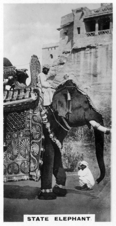 Devlet kostümlü hükümet fili, Güney Hindistan, c1925 by Unbekannt