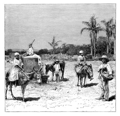 Haitililer Grubu, c1890 by Unbekannt