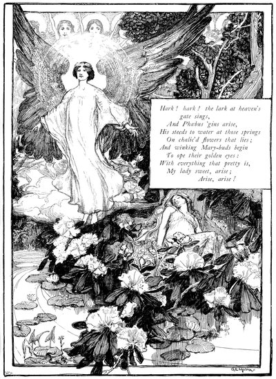 Dinle! Lark, 1895 by Unbekannt