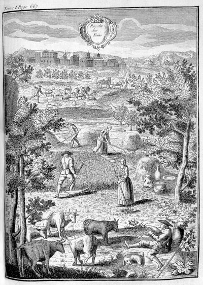 Saman hasadı, 1775 by Unbekannt