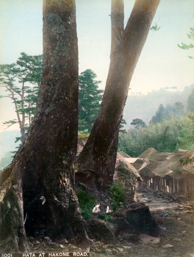 Hata, Hakone Yolu