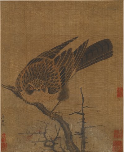 Yapraksız bir dalda şahin, Muhtemelen Yuan hanedanı, 1279-1368. by Unbekannt