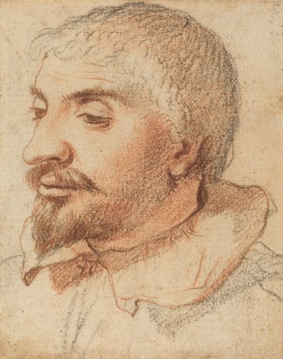 Bir Adamın Başkanı, c. 1600. by Unbekannt