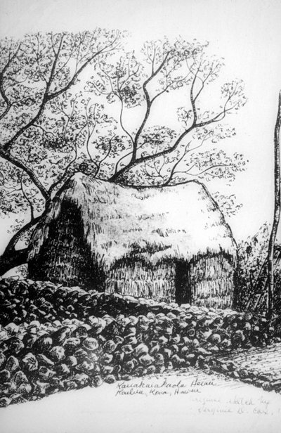 Heiau, Kailua-Kona, Hawaii, 19. yüzyıl by Unbekannt