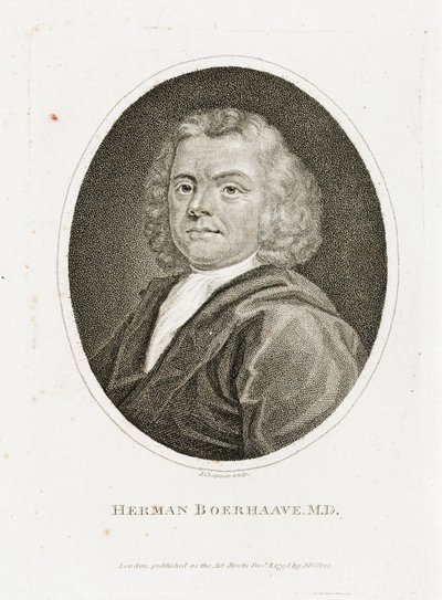 Herman Boerhaave, Hollandalı doktor, kimyager ve botanikçi, 18. yüzyılın başlarında by Unbekannt