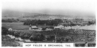 Hop tarlaları ve meyve bahçeleri, Tazmanya, Avustralya, 1928 by Unbekannt