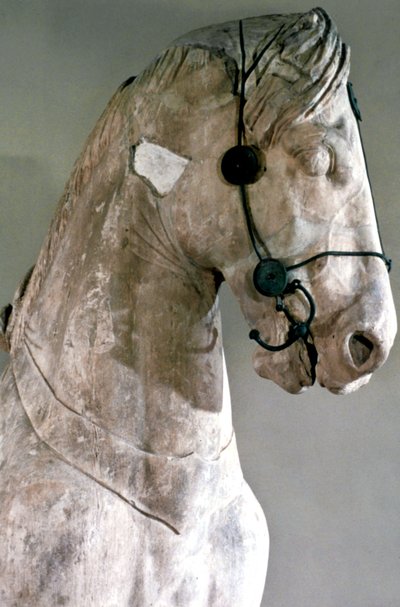 At, Halikarnassos Mozolesi