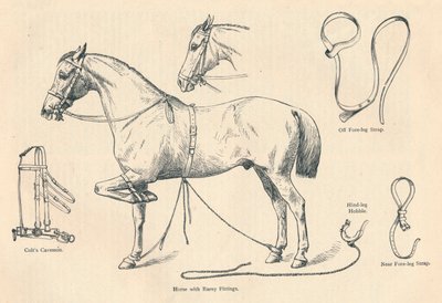 Rarey bağlantı parçalarına sahip at, c1905 c1910 by Unbekannt