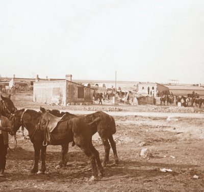 Atlar, Somme-Tourbe, kuzey Fransa, c1914-c1918 by Unbekannt