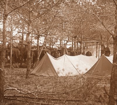 Horses kütüğü, Suippes, kuzey Fransa, c1914-c1918 by Unbekannt