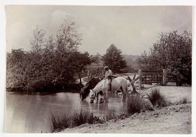 Gölde su içen atlar, 1890