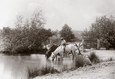 1890