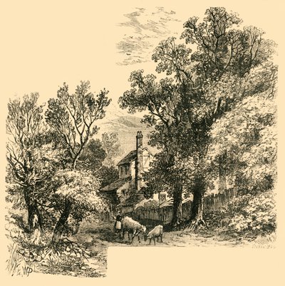 Craven Hill