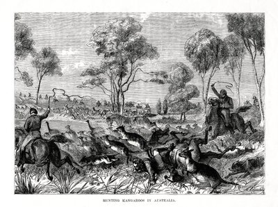 Kanguru avı, Avustralya, 1877 by Unbekannt