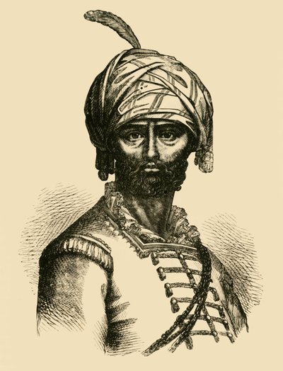 Haydar Ali, c1750, 1890. by Unbekannt