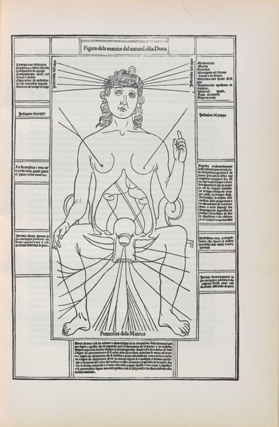 Johannes de Ketham tarafından Fasciculo di tıptan illüstrasyon, 1493 by Unbekannt