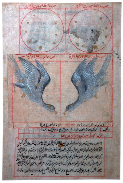 Güney Yarımküre Takımyıldızlarının İllüstrasyonu, 16. yüzyıl by Unbekannt