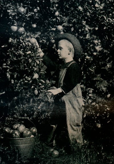 Ontaarios Meyve Bahçelerinden Birinde, c1934 by Unbekannt