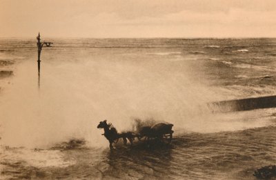 Bir Dalgada, c1928 by Unbekannt