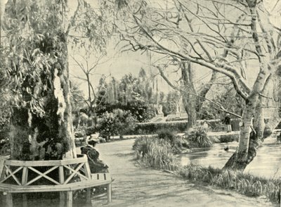 Botanik Bahçelerinde, Adelaide, 1901. by Unbekannt