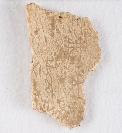 Yazılı kemik parçası kehanet kemiği, Geç Shang hanedanı, ca. 1300-1050 M.Ö. by Unbekannt