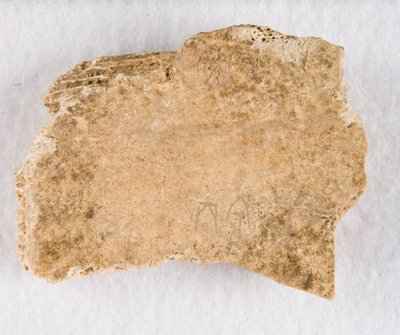 Yazılı kemik parçası kehanet kemiği, Geç Shang hanedanı, ca. 1300-1050 M.Ö. by Unbekannt