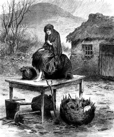 Ailenin son birkaç eşyasını koruyan İrlandalı köylü kız, 1886 by Unbekannt