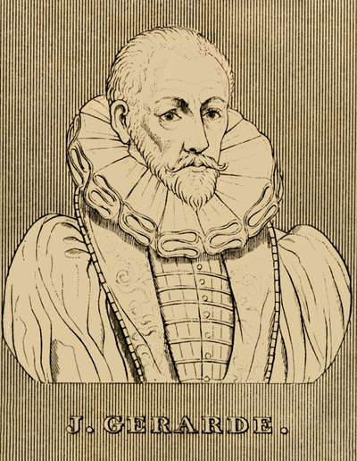 J. Gerarde, c1545-1612, 1830. by Unbekannt