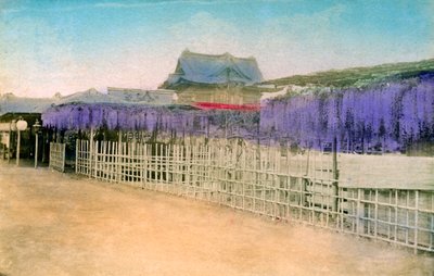 Japonya by Unbekannt