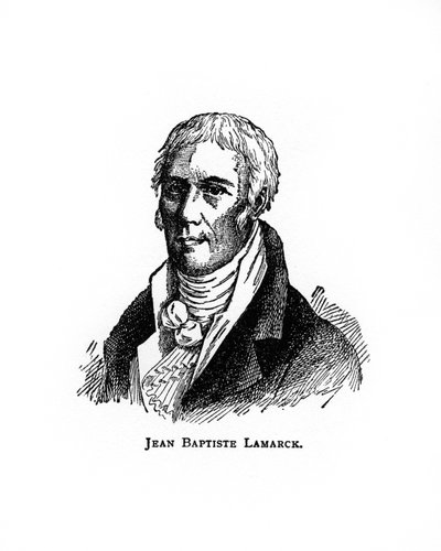 Jean-Baptiste Lamarck, Fransız doğa bilimci, 20. yüzyıl by Unbekannt