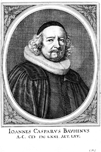 Jean Caspar Bauhin 1606-1659, İsviçreli doktor ve botanikçi by Unbekannt