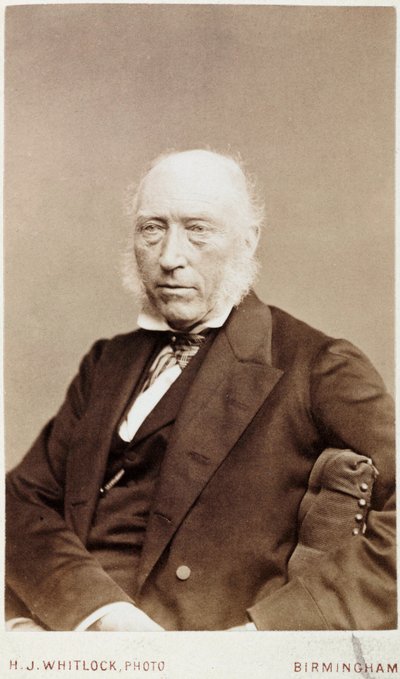 John Phillips, İngiliz jeolog, c 1870 by Unbekannt