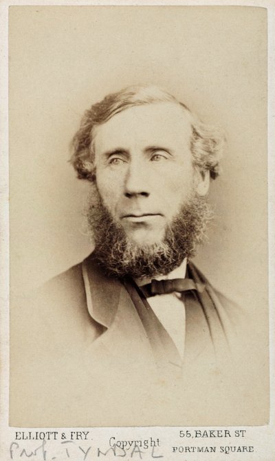 John Tyndall, İrlandalı fizikçi, 1875 dolayları by Unbekannt