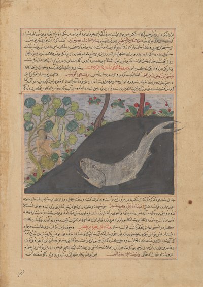 Jonah ve Balina, Bir Majma