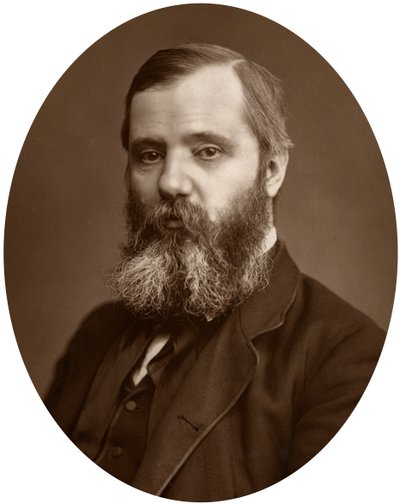 Joseph Cowen, Milletvekili, 1881 by Unbekannt