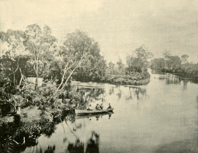 Glengarry & Thompson Nehirlerinin Kavşağı, Victoria, 1901. by Unbekannt