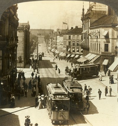 Karl Johan Caddesi, W.N.W. Kraliyet Sarayı