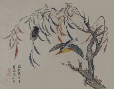 Kingfisher, Ağustosböceği ve Söğüt Ağacı, 19. yüzyıl. by Unbekannt