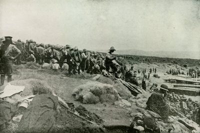 Suvla Koyu